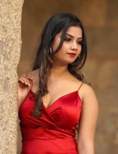 call girl service in Piploda